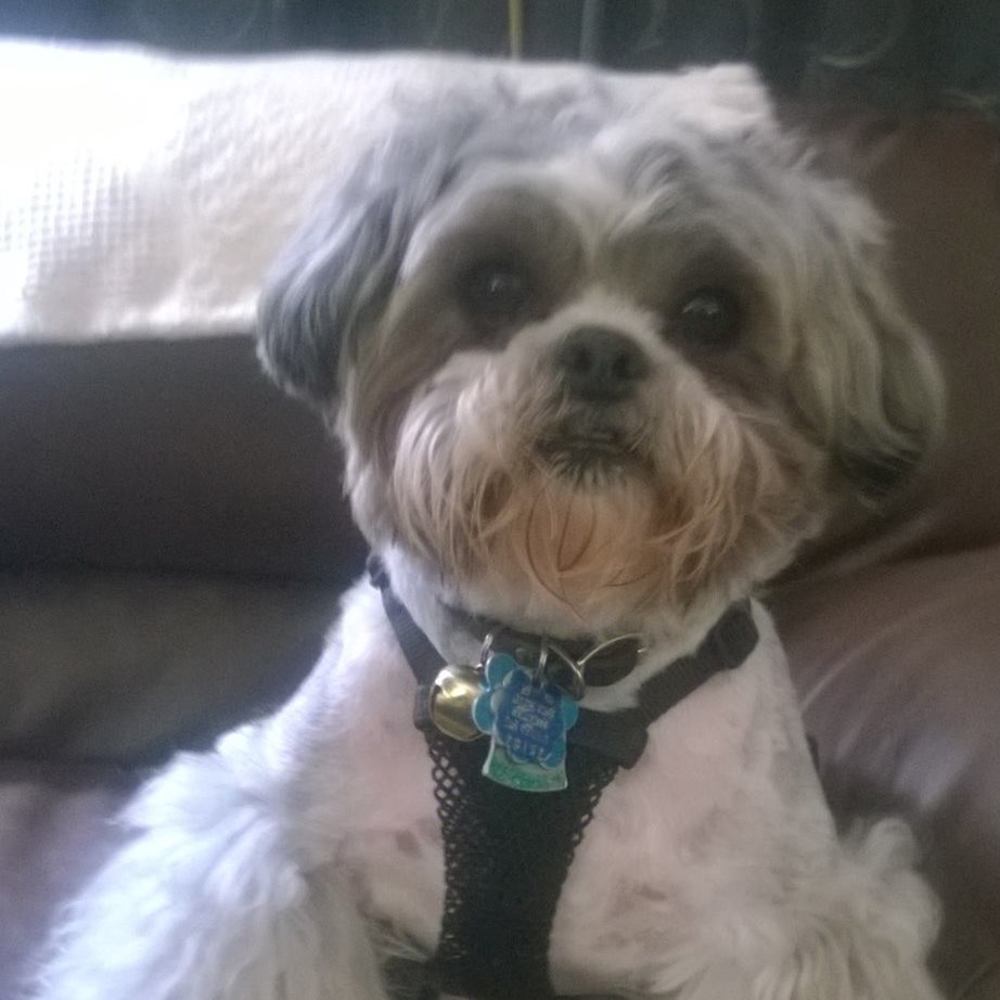 Meet your Posher, Val